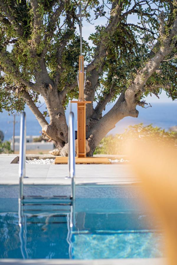 Santa Marina Syros Villa Liaropa Luaran gambar